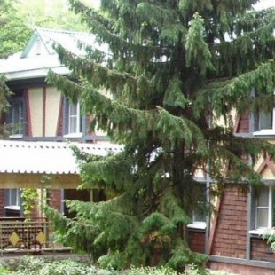 Фотография конференц-зала Городок