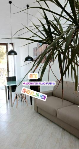 Фотография апарт отеля Paradeisos Residence Sas