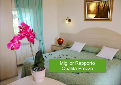 Фотография гостиницы Hotel Casa Nicola