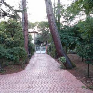 Фотографии гостевого дома
La Pineta