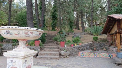 Фотография гостевого дома Cabañas Tapalpa Sierra del Tecuan, Cabaña Conejo