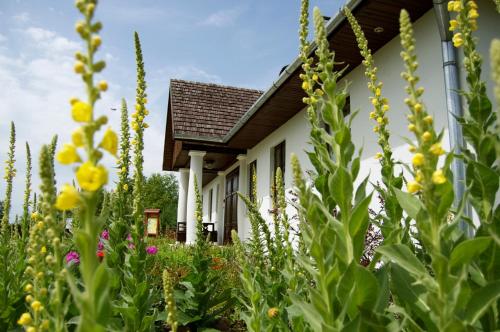 Фотография базы отдыха Zagrodowa Osada