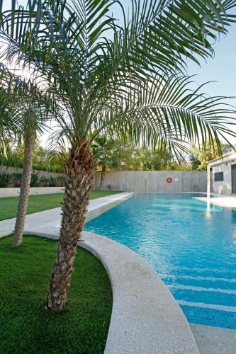 Фотография гостиницы Jardines de Lorca