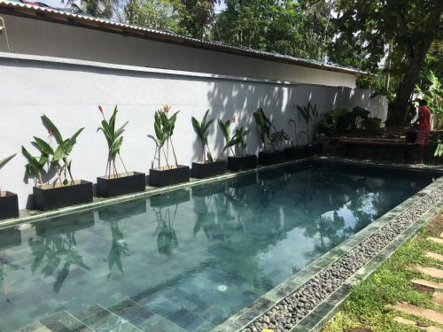 Фотография гостиницы The Nuga House