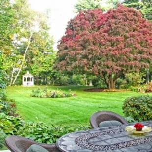 Фотографии мини отеля
Inn on Putney Road