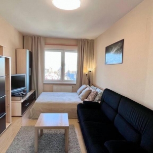 Фотография квартиры ОнегоНome (ОнегоХоум) на улице Лососинской