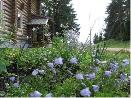 Фотография гостиницы Вершина Селигера