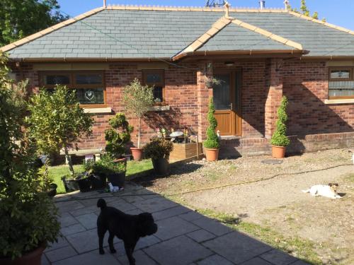 Фотографии гостевого дома
Grooms cottage