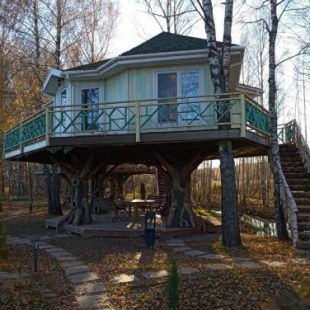 Фотография гостевого дома Дом на дереве