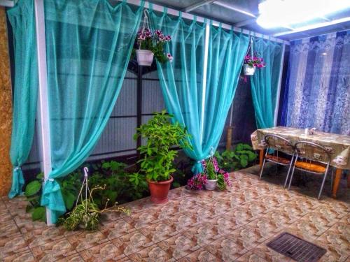 Фотография мини отеля Тихий дворик