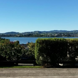 Фотография мини отеля Botanical Haven