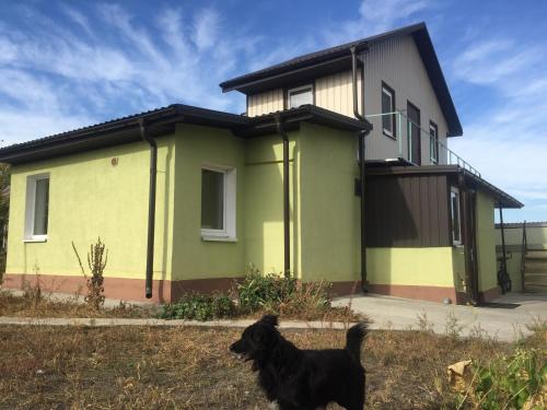 Фотография хостела Foxhouse