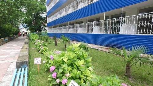 Фотография пансионата АО Курорт Макопсе