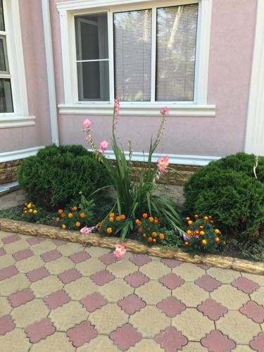 Фотография гостевого дома Зелёный уголок