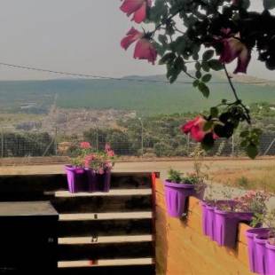 Фотографии гостевого дома
Si-Har Chalets