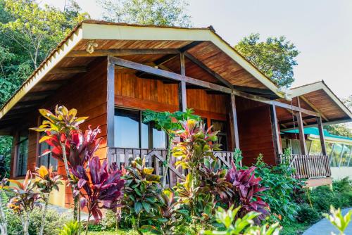 Фотографии хостела 
            Heliconias Rainforest Lodge