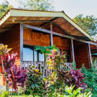 Фотография хостела Heliconias Rainforest Lodge
