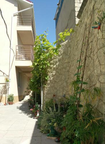 Фотографии гостевого дома 
            На Новороссийской, 47