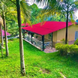 Фотография гостевого дома Cabaña 4 Caminos