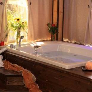 Фотографии гостевого дома 
            צימרים טרה נוסטרה