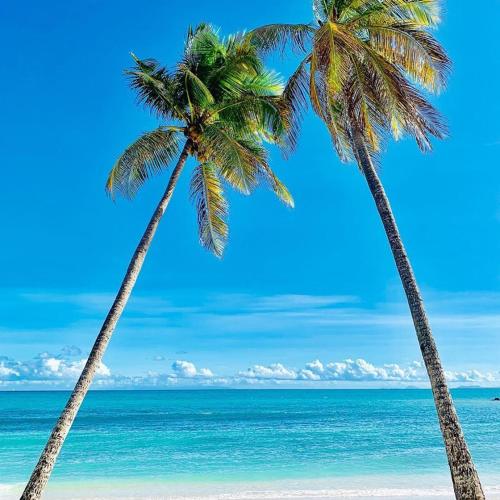 Фотография гостевого дома Au Vieux Manguier