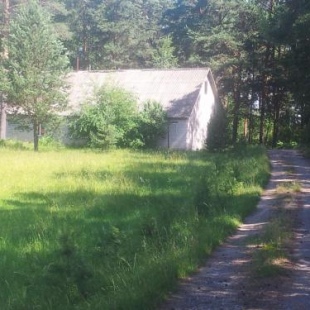 Фотография гостевого дома Сосны