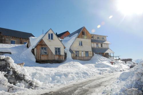 Фотография хостела Гудаури-Димеби