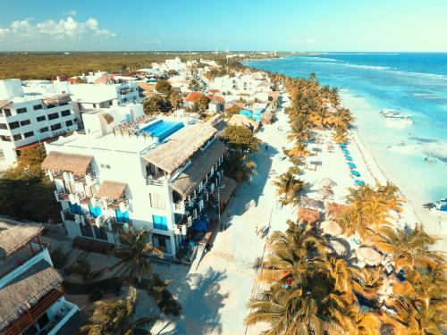 Фотография гостиницы Hotel Blue reef con alberca & frente al mar