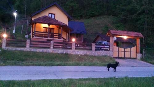 Фотография гостевого дома VIKENDICA AVRAMOVIC