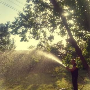 Фотография базы отдыха Shamil Home Stay in Udabno