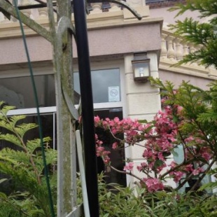 Фотография гостиницы Blanche de Castille