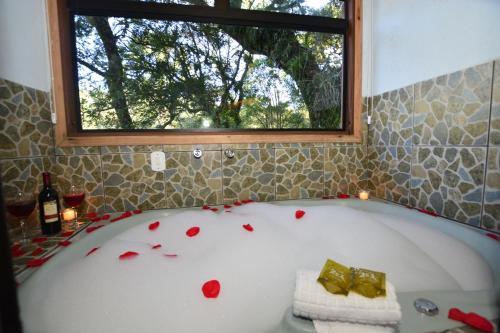 Фотография гостиницы Hotel Pião Mineiro