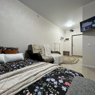 Фотография квартиры Квартира Студия Логинова 5/2-633