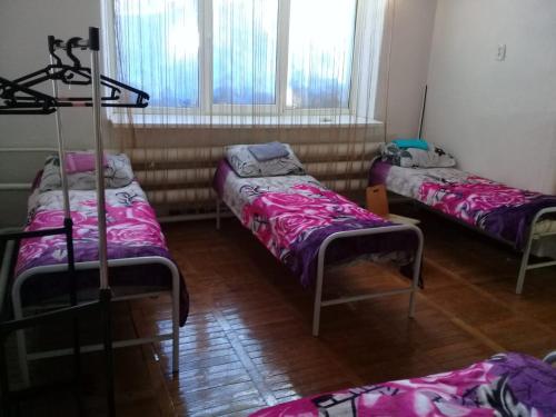 Фотографии хостела
Домбай