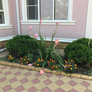 Фотография гостевого дома Зелёный уголок