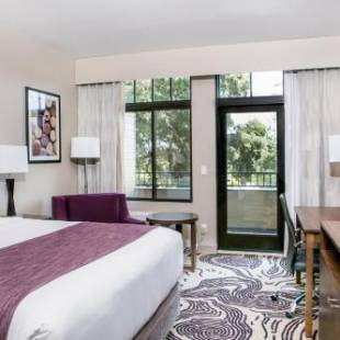 Фотографии гостиницы 
            Hotel Siri Downtown - Paso Robles