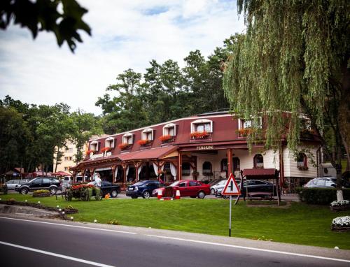 Фотография гостевого дома Pensiune Restaurant Lyra