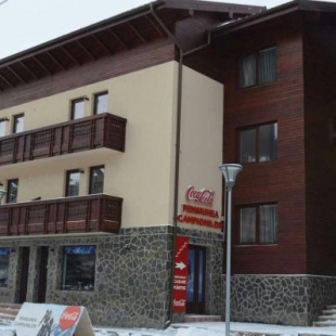 Фотография гостевого дома Pensiunea Campionilor