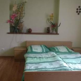 Фотографии мини отеля
Willa Melisa