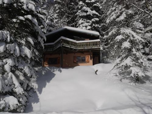 Фотография гостевого дома LE TRAPPEUR Chalet en bois
