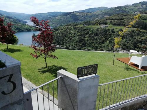Фотография гостевого дома Douro Mesio Guest House