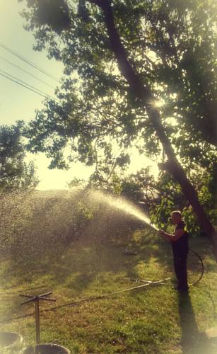 Фотография базы отдыха Shamil Home Stay in Udabno