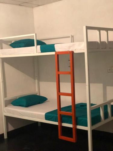 Фотография гостиницы Blue Sky Guest House Dambulla Srilanka