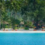 Фотография гостиницы Medee Resort