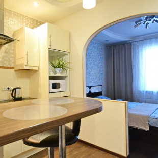 Фотография квартиры Квартира 342 Каролинского 16