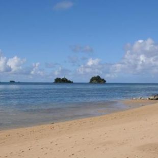Фотография гостиницы Coconut Grove Beachfront Cottages