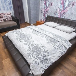 Фотография квартиры Harter Rooms на улице Просвещения 43