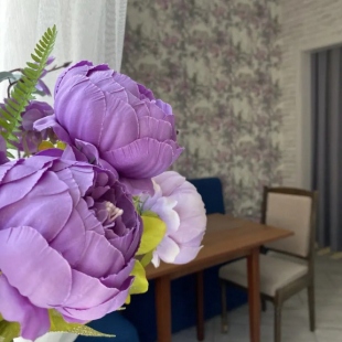 Фотография квартиры Апартаменты Приморье Зеленоградск