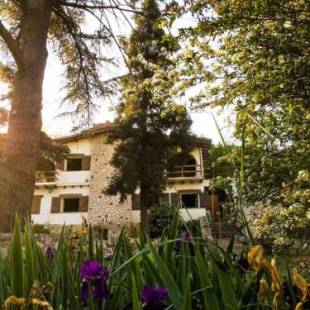 Фотографии мини отеля 
            Casa mansa