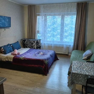 Фотография квартиры Апартаменты на Бачуринской шоколад